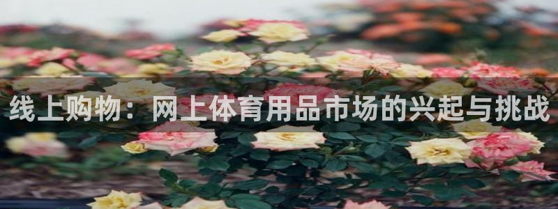 征途国际是干什么的
