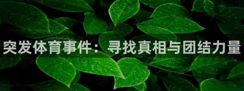 征途国际app官网下载